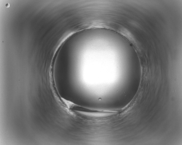 X0000066101190200603171349