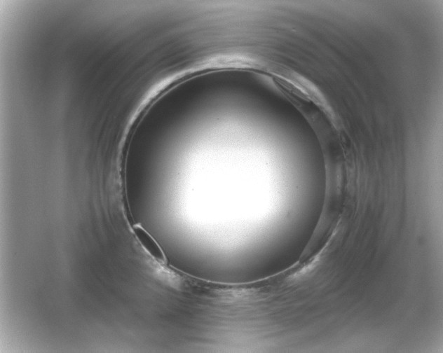 X0000066101192200603171349