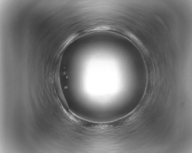 X0000066101193200603171349