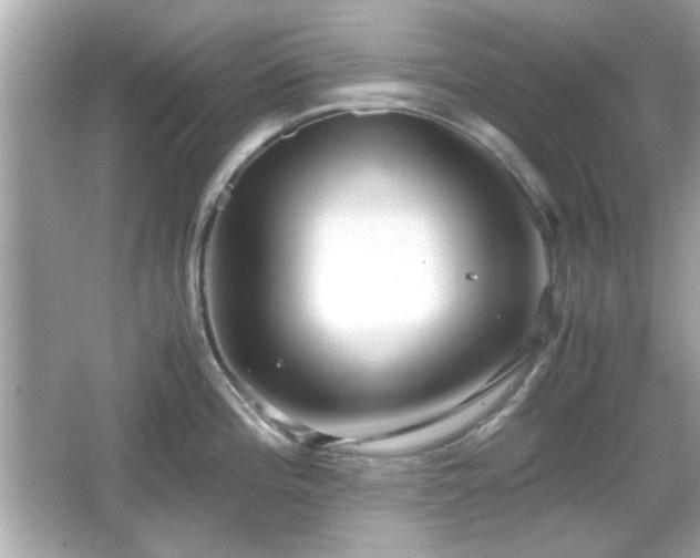 X0000066101196200603171349