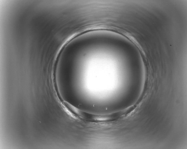 X0000066101197200603171349