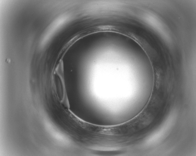 X0000066101198200603171349