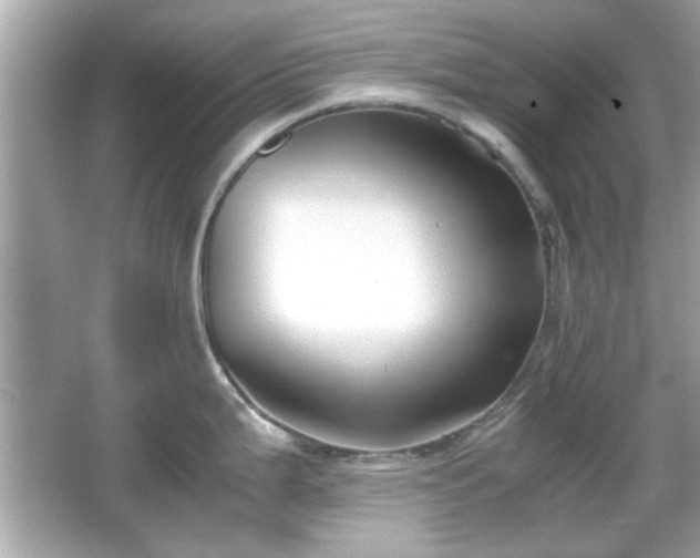 X0000066101199200603171348