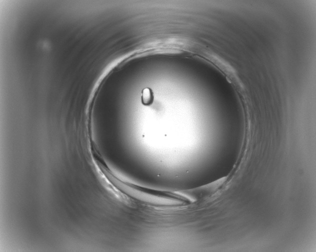 X0000066101200200603171348