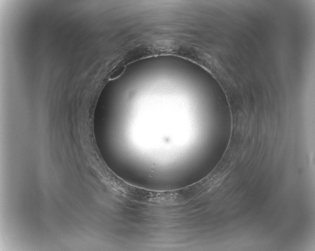 X0000066101201200603171348