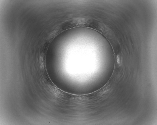 X0000066101203200603171348