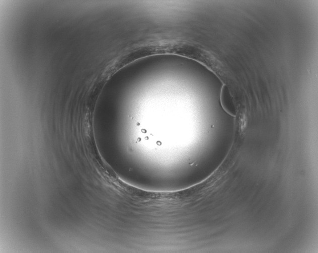 X0000066101204200603171348