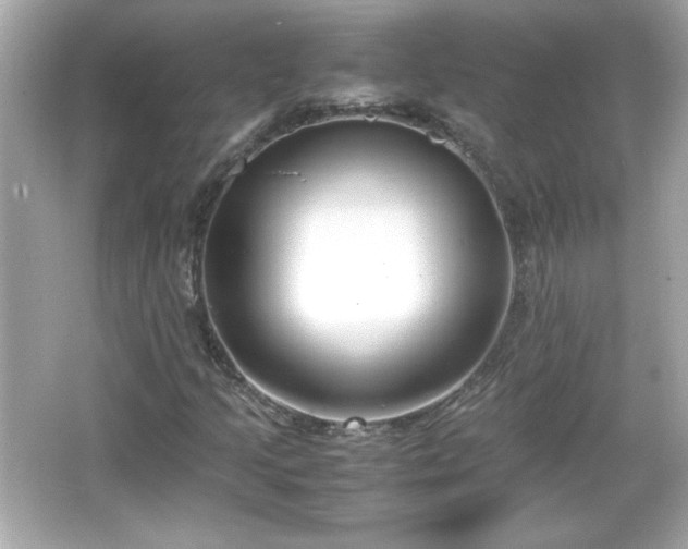 X0000066101205200603171348