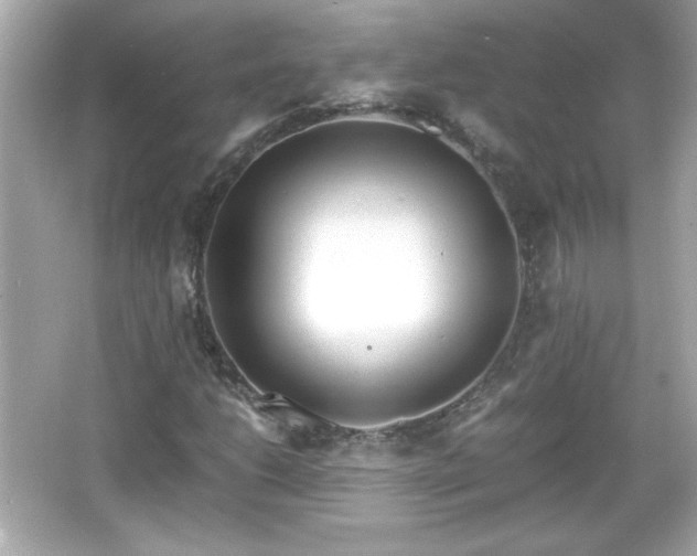 X0000066101206200603171348