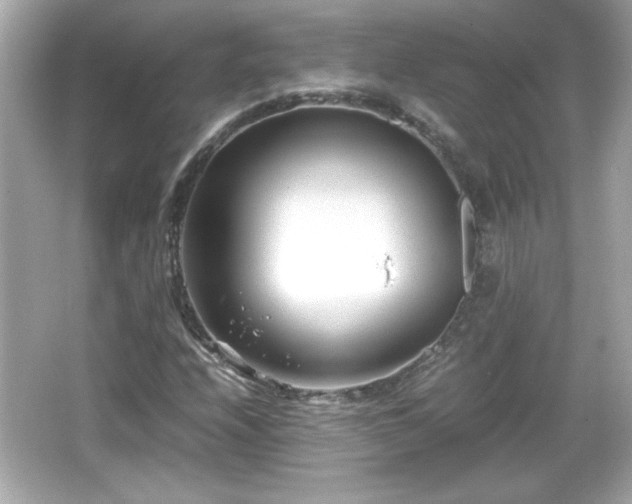 X0000066101208200603171348