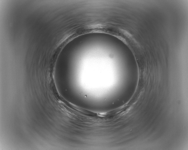 X0000066101209200603171348