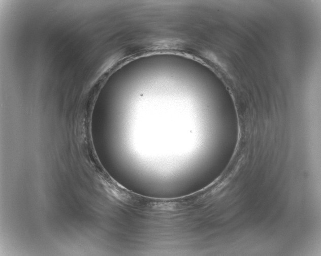 X0000066101211200603171348