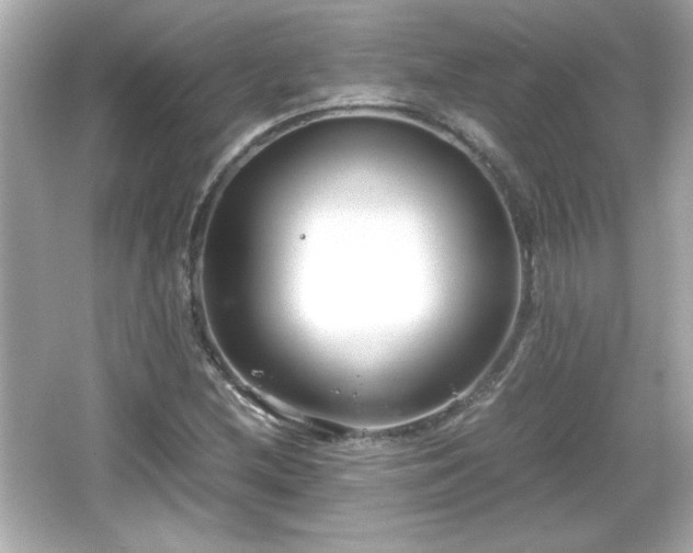 X0000066101212200603171348