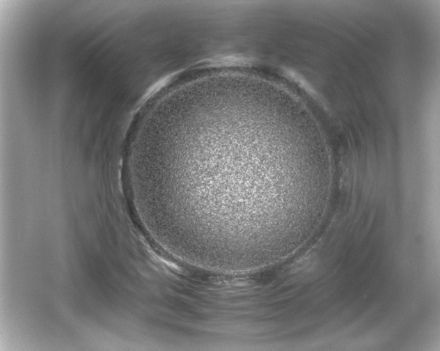 X0000066101213200603171348