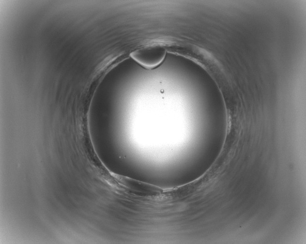 X0000066101217200603171348