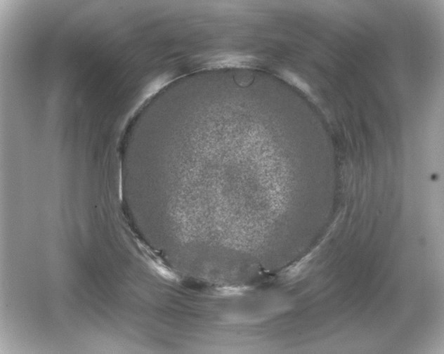 X0000066101219200603171348