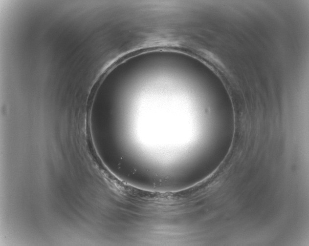 X0000066101220200603171348