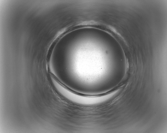 X0000066101221200603171348