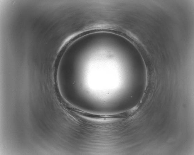 X0000066101222200603171348