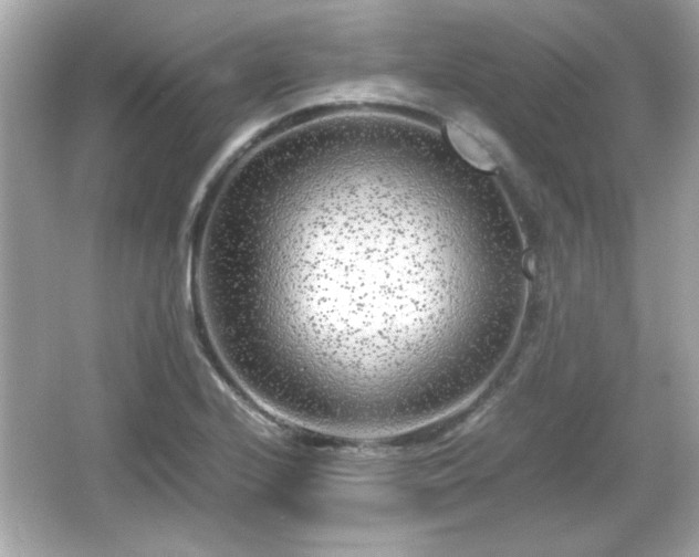 X0000066101224200603171348