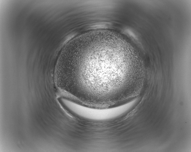 X0000066101225200603171348