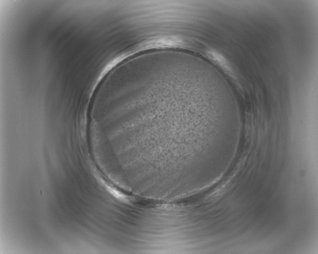 X0000066101226200603171348