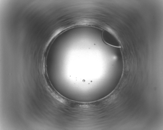 X0000066101227200603171348