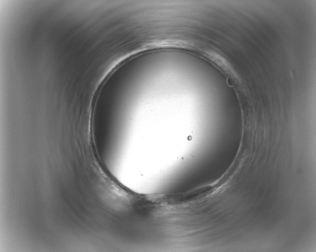 X0000066101228200603171348