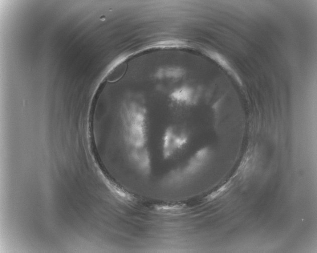 X0000066101229200603171348