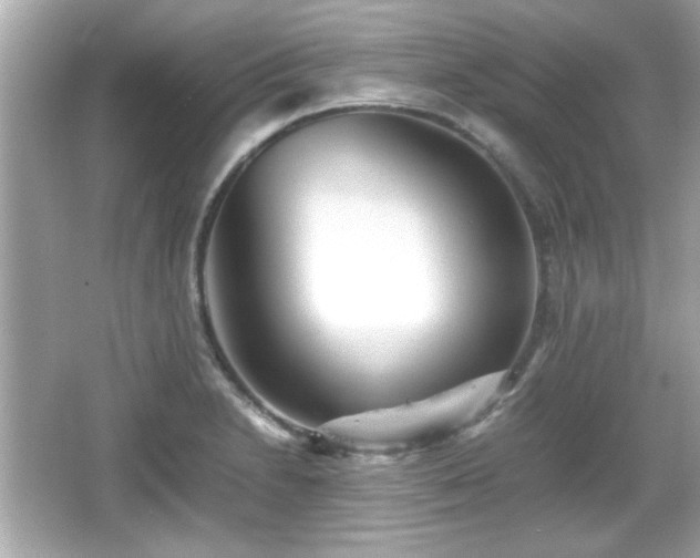 X0000066101230200603171348