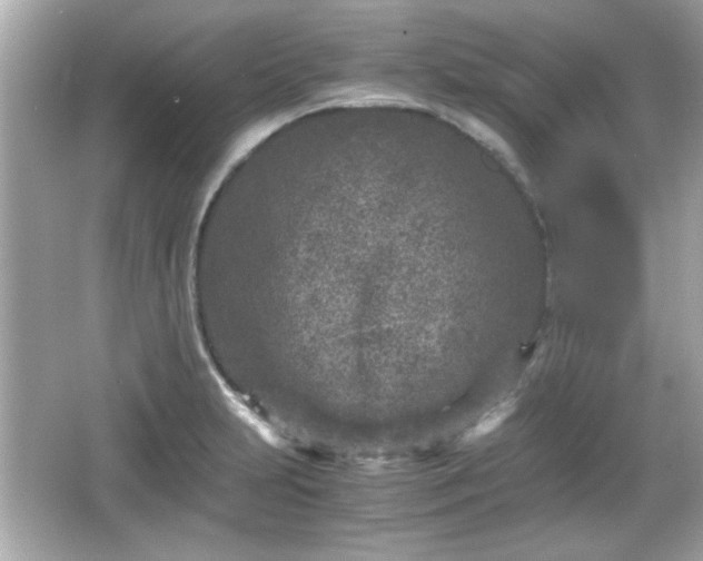 X0000066101231200603171348