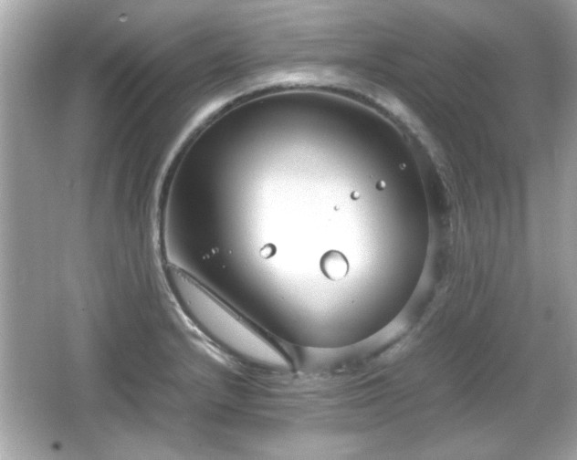 X0000066101232200603171348