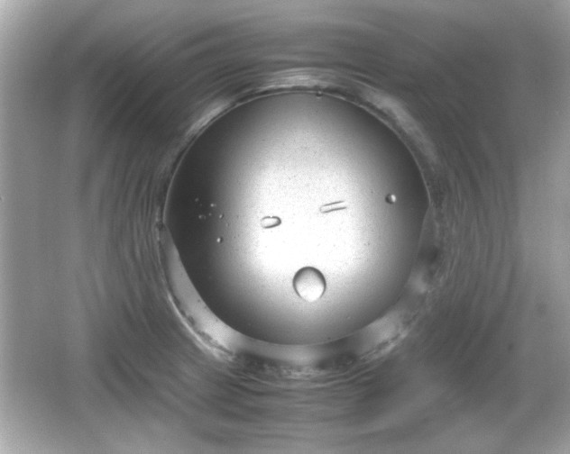 X0000066101233200603171348