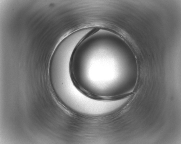 X0000066101234200603171348