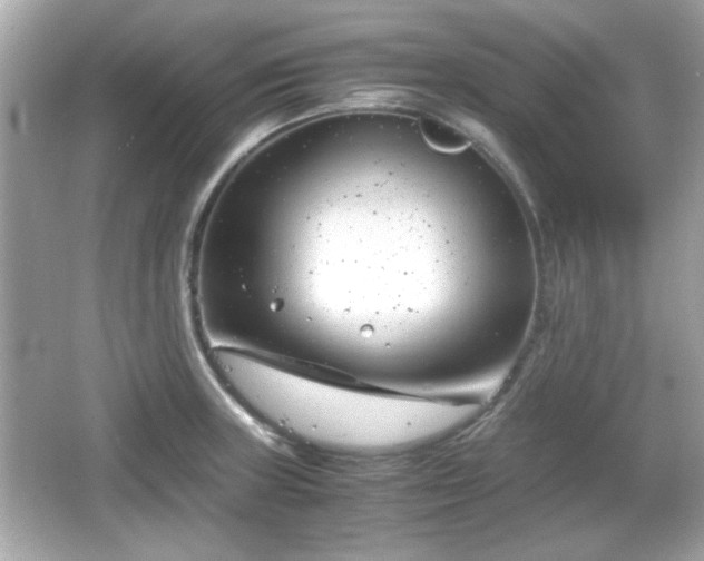 X0000066101235200603171348