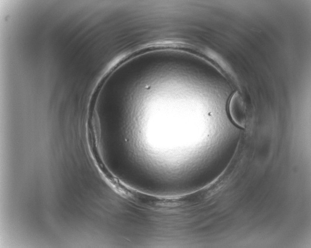 X0000066101237200603171348