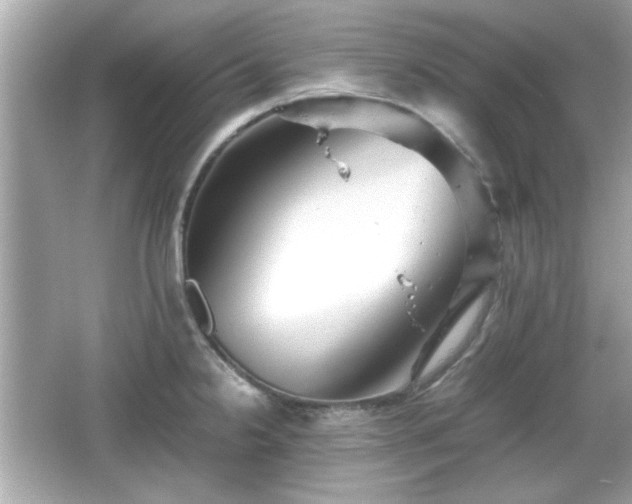 X0000066101238200603171348