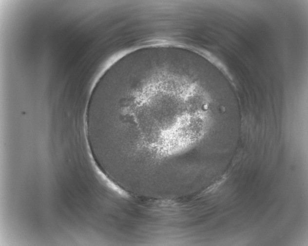 X0000066101239200603171348