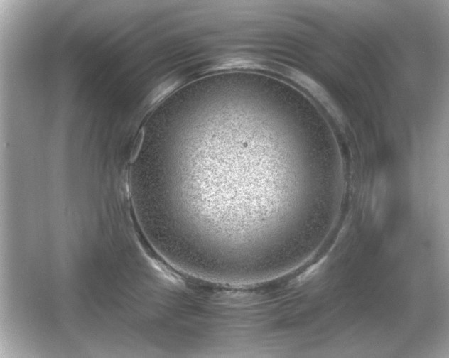 X0000066101241200603171348