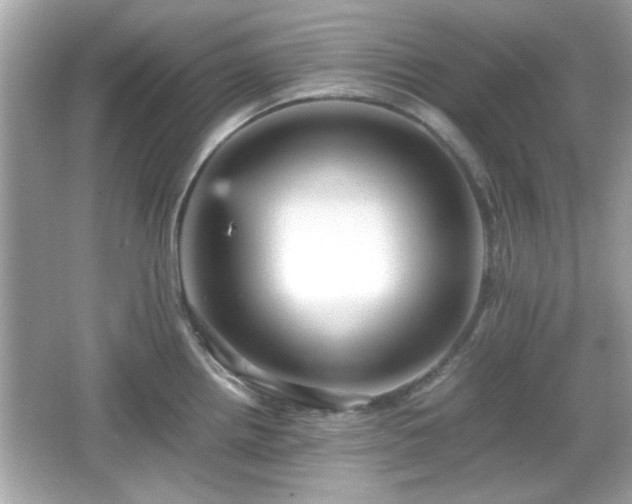 X0000066101242200603171348