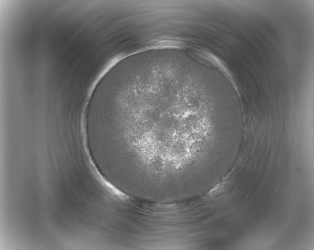 X0000066101243200603171348