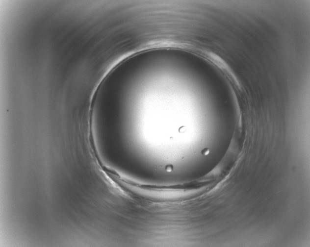 X0000066101244200603171348