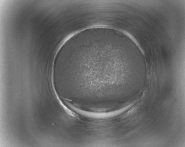 X0000066101245200603171348