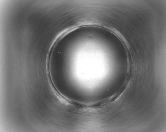 X0000066101246200603171348