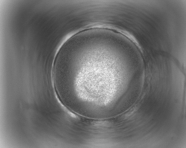 X0000066101247200603171348