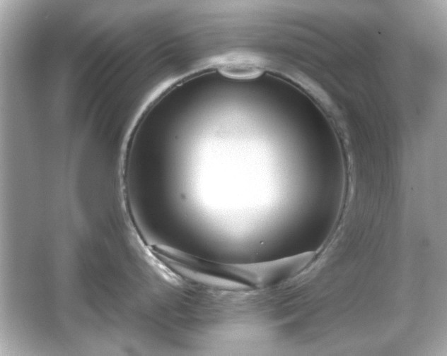 X0000066101248200603171348