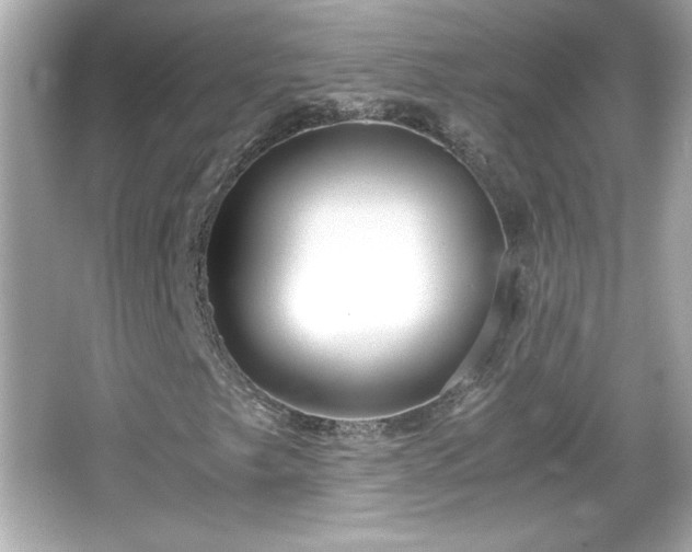 X0000066101249200603171348