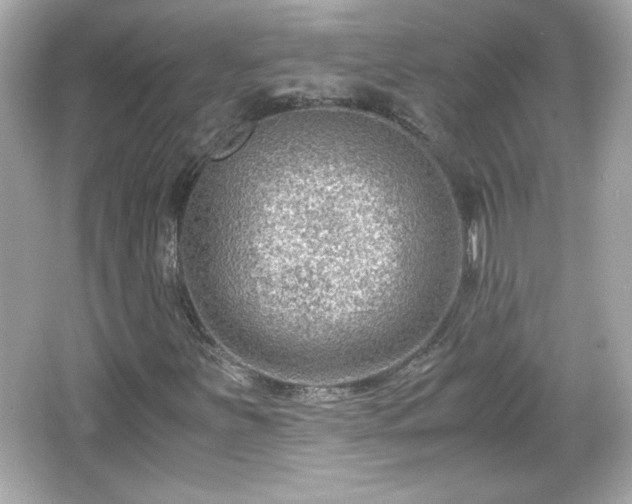 X0000066101251200603171348