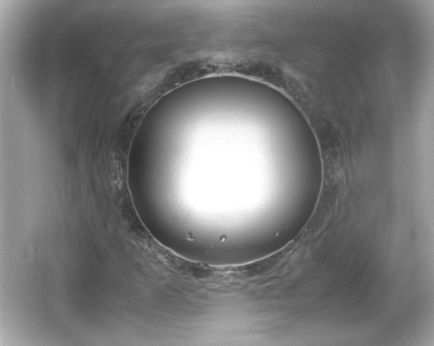 X0000066101253200603171348