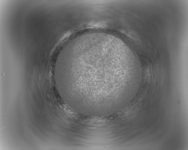 X0000066101254200603171348